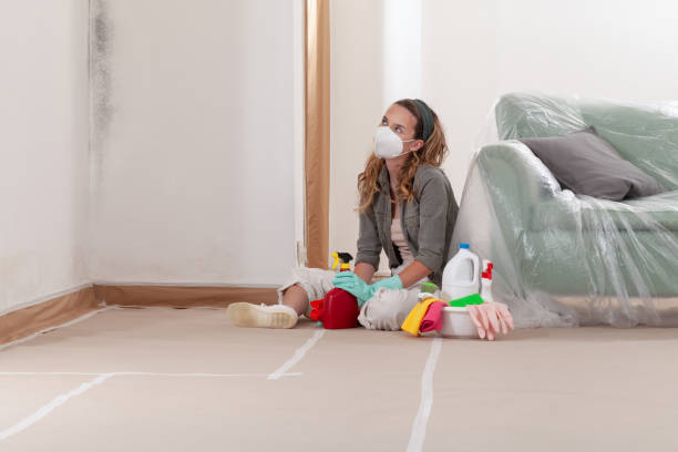 Reliable Mold Testing contractor in Spring, TX by WQB Mold Removal